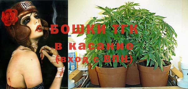альфа пвп Горно-Алтайск