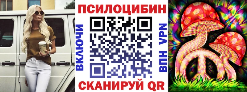 цены наркотик  Пятигорск  Галлюциногенные грибы Magic Shrooms 